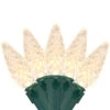 70 Warm White LED Faceted C6 Christmas Lights - 23 Ft Green Wire