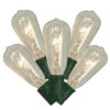 10-Count Clear Edison Christmas Light Set, 9ft Green Wire