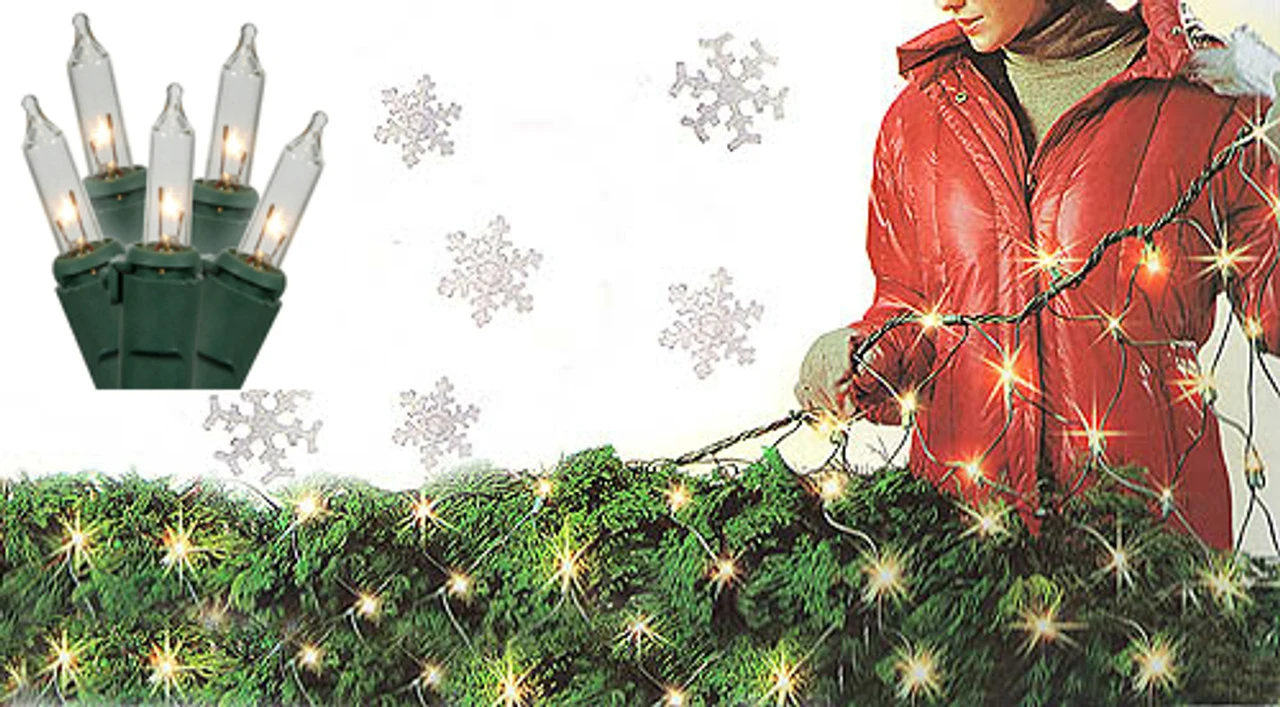 4' X 6' Clear Twinkling Net Style Christmas Lights, Green Wire