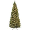12 Ft. Carolina Pine Slim Tree With Clear Lights