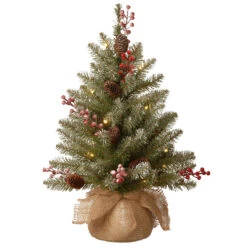 2' Pre-Lit Dunhill Fir Artificial Christmas Tree - Warm White LED Lights