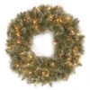 24" Pre-Lit Glittery Bristle Pine Artificial Christmas Wreath - LED Lights Battery Operated