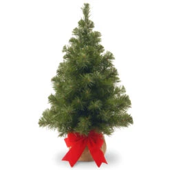 2' Potted Noble Spruce Medium Artificial Christmas Tree - Unlit