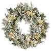 Pre-Lit Frosted Colonial Fir Artificial Christmas Wreath, 30-Inch, LED Cosmic Lights