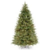 9’ Pre-Lit Frasier Grande Artificial Christmas Tree - Clear Lights