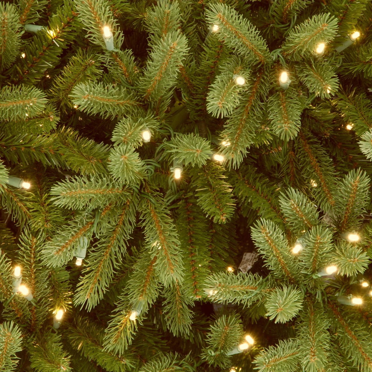 6.5’ Pre-Lit Jersey Fraser Fir Artificial Christmas Tree – Clear Lights - Image 3