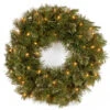 Pre-Lit Wispy Willow Artificial Christmas Wreath - 24-Inch, Clear Lights