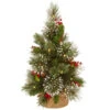 18" Pre-Lit Medium Wintry Pine Artificial Christmas Tree - Warm White Lights