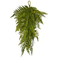 Set Of 2 Artificial Fern Teardrop Christmas Swag, 28-Inch, Unlit