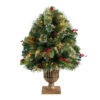 3' Pre-Lit Frosted Pine Artificial Outdoor Christmas Tree, Warm Clear LED Lights