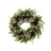 Pre-Lit Green And Red Winter Frost Artificial Christmas Wreath, 24-Inch, Clear LED Lights