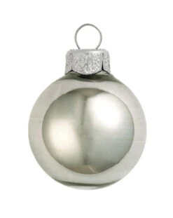 12ct Shiny Pewter Gray Glass Ball Christmas Ornaments 2.75" (69mm)