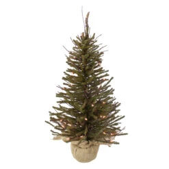 2.5' Pre-Lit Warsaw Two-Tone Twig Artificial Christmas Tree - Clear Lights