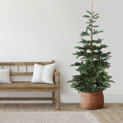 9' Layered Nordmann Fir Artificial Christmas Tree - Unlit