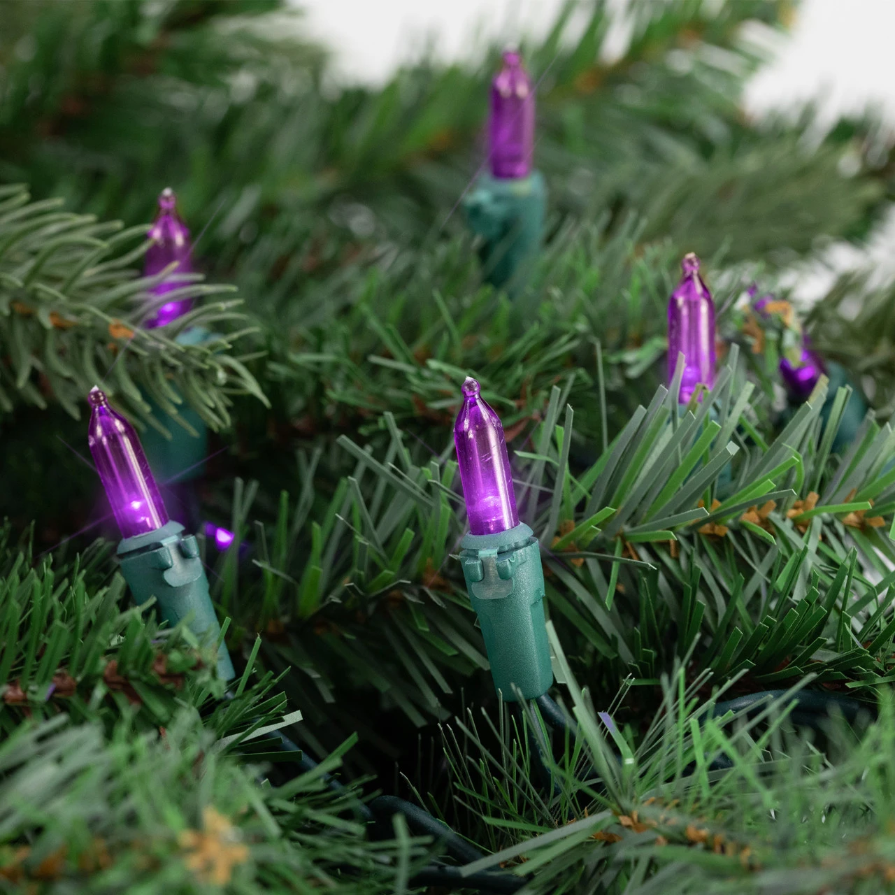 50ct Purple LED Mini Christmas Lights, 16.25ft Green Wire - Image 3
