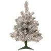2' Pre-Lit Flocked Madison Pine Artificial Christmas Tree, Clear Lights