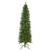 6.5' Pre-Lit Silver Lake Fir Pencil Artificial Christmas Tree, Multi Lights