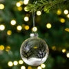 4ct Clear And Frosted Winter Tree Glass Christmas Ball Ornaments 3.25" (80mm)