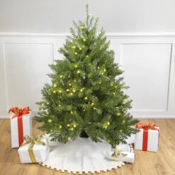 4' Pre-Lit Full Northern Pine Artificial Christmas Tree - Warm Clear LED Lights