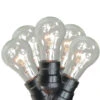 15-Count Clear Commercial Grade Adjustable Drop Length E17 A Shape Patio Lights, 21ft Black Wire