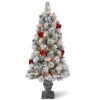 4’ Pre-Lit Snowy Bristle Pine Entrance Tree With Clear Lights In Silver Pot