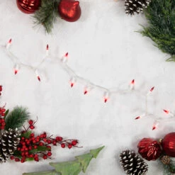 Set Of 100 Red Mini Christmas Lights 2.5" Spacing - White Wire