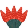 70-Count Red LED Faceted C6 Christmas Light Set, 23ft Green Wire